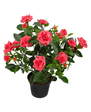 La plante artificielle Mini Rose UV 35 cm a un pot noir rempli d'une rose artificielle luxuriante avec plusieurs roses roses en fleurs et des feuilles vertes sur un fond blanc.