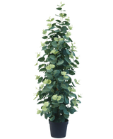 La plante artificielle Eucalyptus 76 cm est une plante d'eucalyptus artificielle haute et luxuriante avec des feuilles vertes rondes dans un pot noir, sur un fond blanc uni.