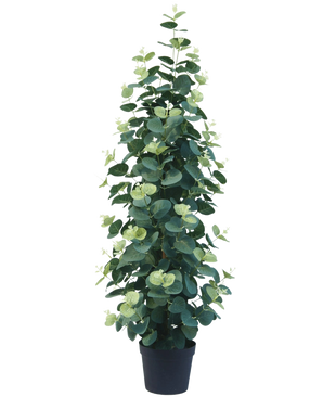 La plante artificielle Eucalyptus 76 cm est une plante d'eucalyptus artificielle haute et luxuriante avec des feuilles vertes rondes dans un pot noir, sur un fond blanc uni.