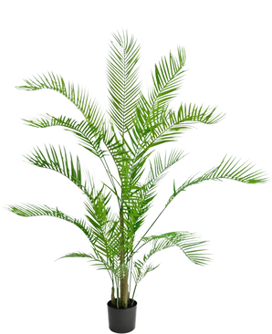 La Plante Artificielle Chamaedorea 150 cm est un grand palmier en pot avec de longues feuilles vertes arquées et des tiges élancées, sur un fond blanc uni.