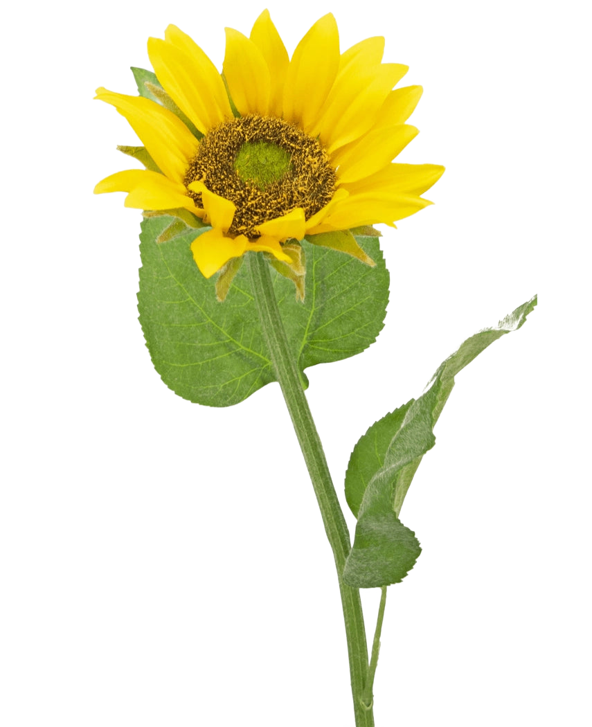 Le Tournesol Artificiel Deluxe 52 cm est un tournesol artificiel aux pétales jaune vif, au cœur marron foncé et aux feuilles vertes sur une longue tige, photographié sur un fond blanc uni.
