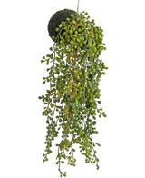 La plante succulente suspendue artificielle sur bulbe de 40 cm a des feuilles vertes en forme de perles et une base recouverte de mousse, suspendue à une ficelle sur un fond blanc.