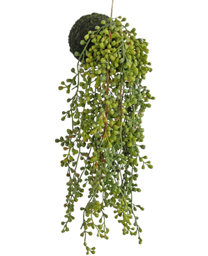 La plante succulente suspendue artificielle sur bulbe de 40 cm a des feuilles vertes en forme de perles et une base recouverte de mousse, suspendue à une ficelle sur un fond blanc.