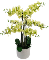 L'Orchidée artificielle Real Touch 81 cm verte présente des fleurs d'orchidée vert clair avec des feuilles vert foncé dans un pot gris clair, sur un fond blanc.