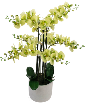 L'Orchidée artificielle Real Touch 81 cm verte présente des fleurs d'orchidée vert clair avec des feuilles vert foncé dans un pot gris clair, sur un fond blanc.