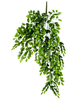 La plante artificielle suspendue Pumila 86 cm est une branche artificielle réaliste avec de multiples tiges de petites feuilles ovales vert vif, qui semblent luxuriantes et en cascade sur un fond blanc uni.