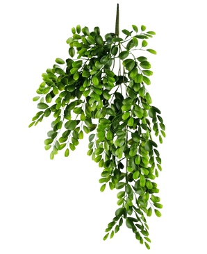 La plante artificielle suspendue Pumila 86 cm est une branche artificielle réaliste avec de multiples tiges de petites feuilles ovales vert vif, qui semblent luxuriantes et en cascade sur un fond blanc uni.