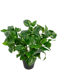 Plante artificielle Vigne d'or en pot 40cm