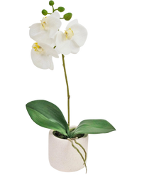 Orchidée artificielle Real Touch 30 cm blanc