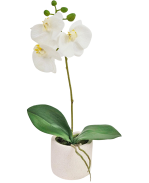 L'orchidée artificielle Real Touch 30 cm blanche présente des fleurs d'orchidées blanches réalistes et des feuilles vertes dans un petit pot blanc, parfait pour ajouter de l'élégance à n'importe quelle pièce.