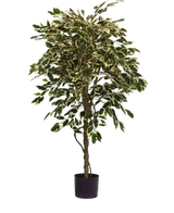 La Plante Artificielle Ficus Panaché 150 cm possède des feuilles colorées vertes et blanches et un tronc torsadé, dans un simple pot noir sur un fond uni blanc.