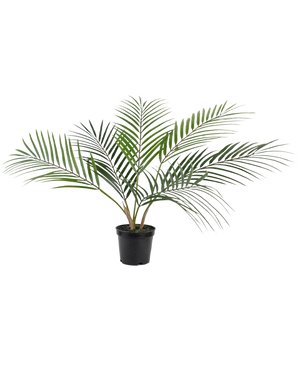 Le palmier artificiel Chamaedorea 48 cm a de longues feuilles vertes minces qui s'étalent vers l'extérieur et est présenté dans un simple pot en plastique noir sur un fond blanc uni.
